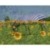 Photo sur acrylique (Plexi) avec support en bois inspirée de la nature signée Plume Photo 22: blanc, jaune, orange, vert, gris, noir.