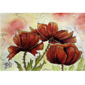 Les coquelicots rouges