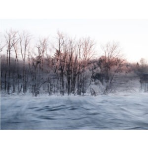 Froidure aux aurores